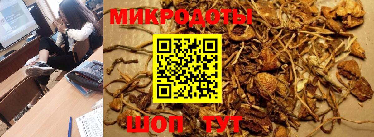 Киселёвск  Псилоцибиновые грибы Psilocybine cubensis  Псилоцибиновые грибы GOLDEN TEACHER  Вход с VPN 